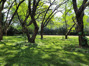 Boma Park Outdoor Event Space
